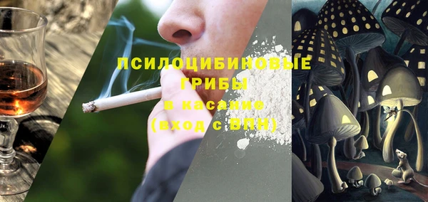 mdpv Няндома