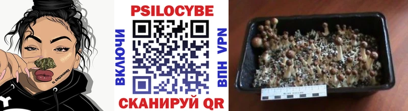 что такое наркотик Малаховка Галлюциногенные грибы MAGIC MUSHROOMS